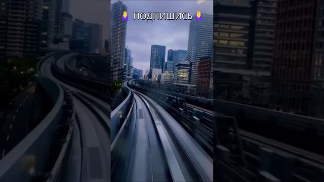 Вдохновляющие истории успеха