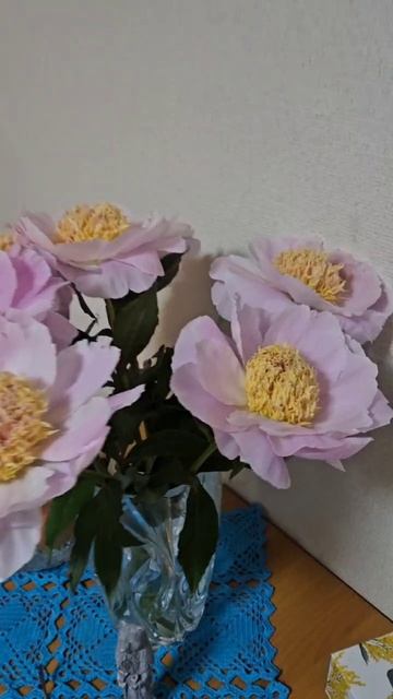 Нежнятинка......