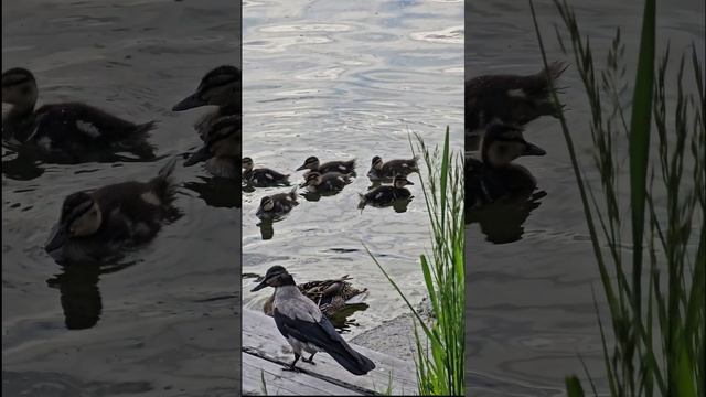 1000053231.mp4