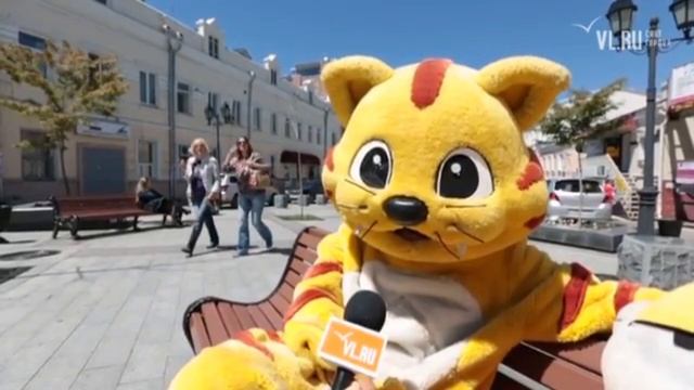 С днём рождения, грустный котик! 11 лет мема, который объединил всех уставших