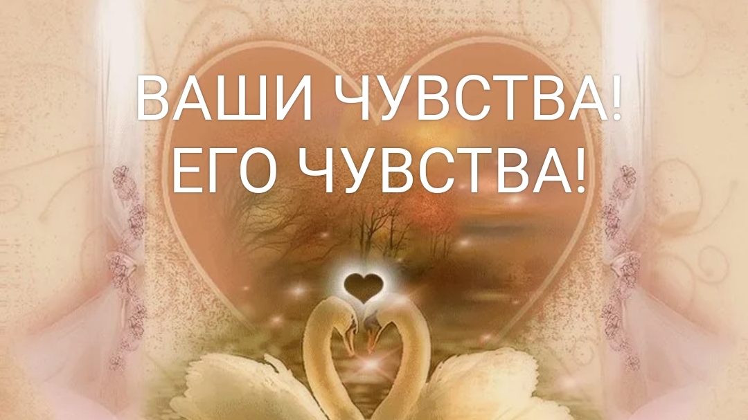 Ваши чувства к нему? Его чувства к Вам?