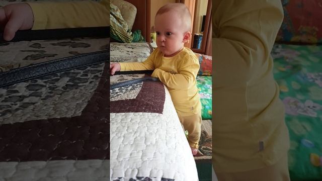 Рома после прогулки, 10:20, 3.06.2025