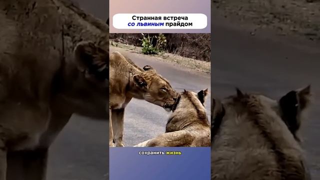 А вы знали?