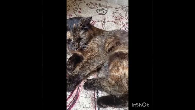 1000153201.mp4