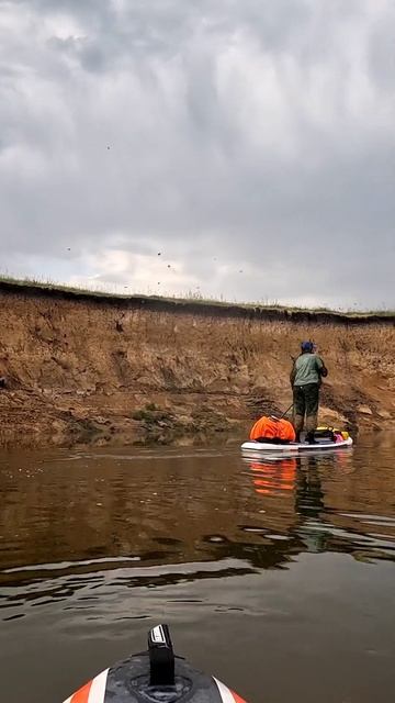 195 км на сапборде по реке Ворона #сапборд #sup #водный_поход #сапсерфинг #сап