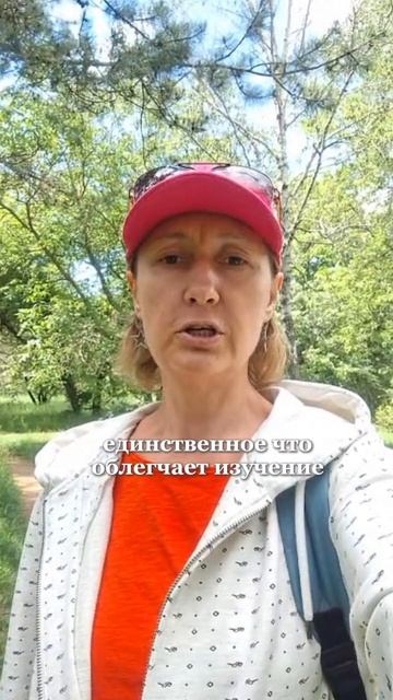 Сравнение персидского языка и турецкого