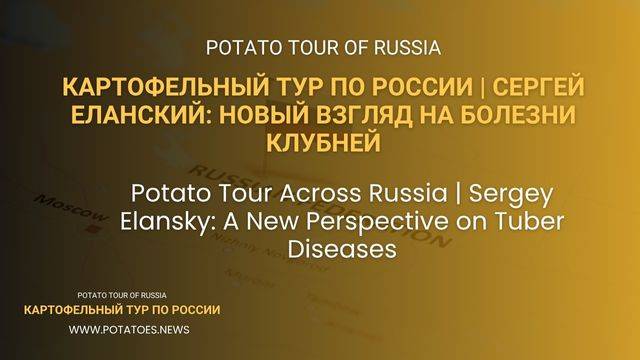 Картофельный тур по России | Сергей Еланский: новый взгляд на болезни клубней