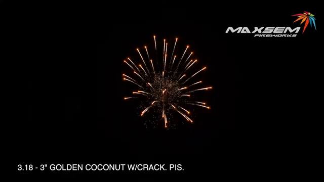 МXD003   GOLDEN СOCONUT WCHRYS.PISTIL 3 612