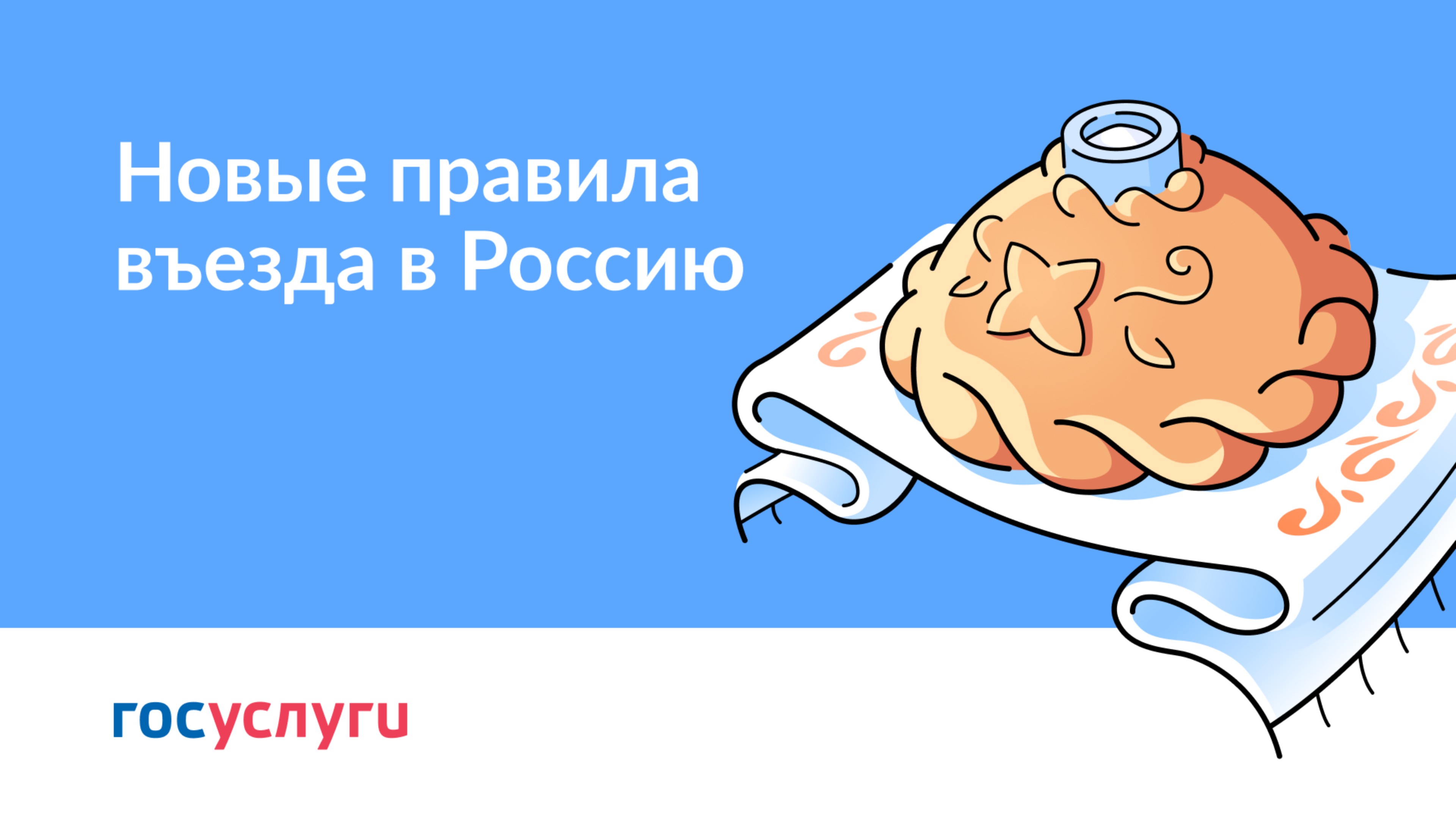 Новые правила въезда в Россию как подготовиться к поездке