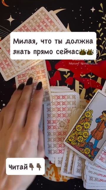 “Милая, что ты должна знать прямо сейчас?"