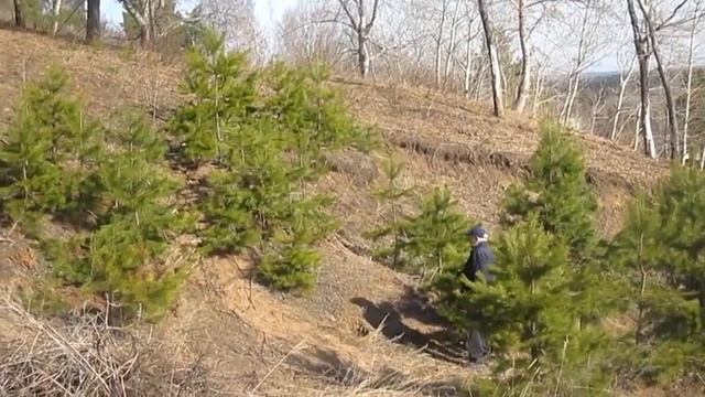 Песня ветра -  Автор Константин Батурин музыка и поёт нейросеть