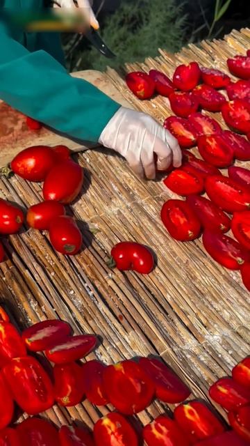Foreigners Selling Dried Tomatoes Expensively #shortsvideo