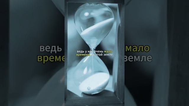 А вы знали?
