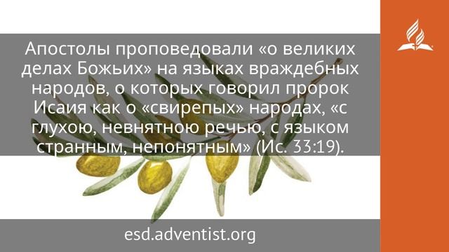 4 июня 2025. Пятидесятница. Под сенью благодати _ Адвентисты