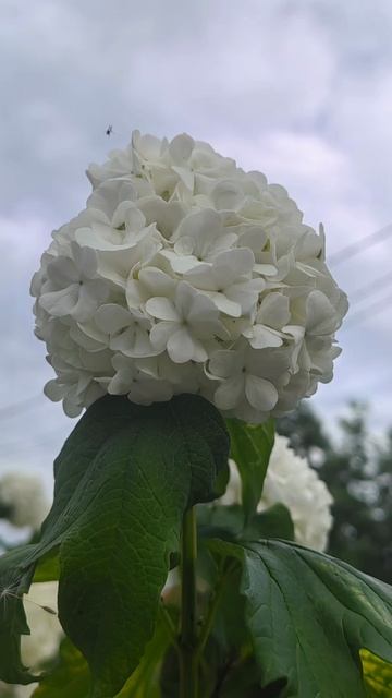 Красота природы