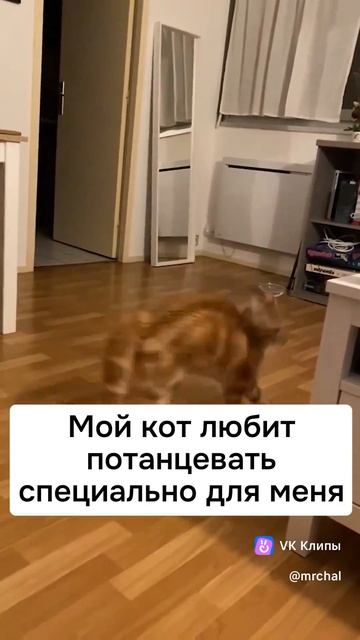 oshuh