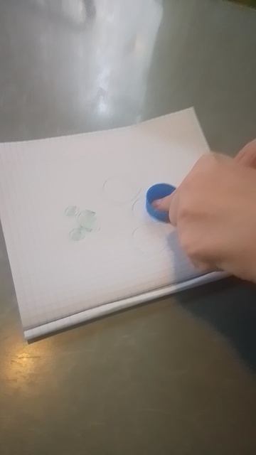 VID_20250603_175442.mp4