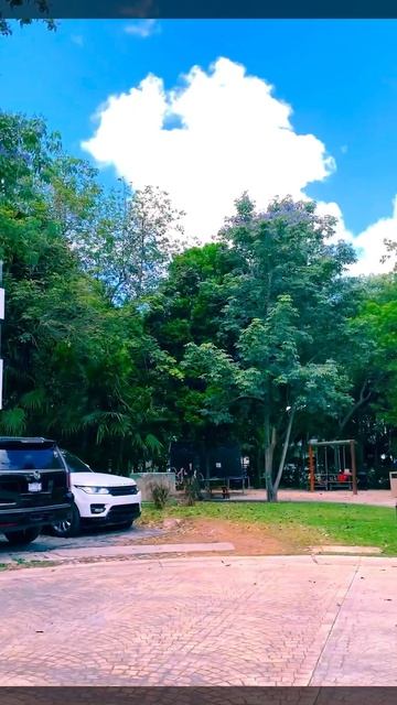 02-06-2025. Где-то в городе...