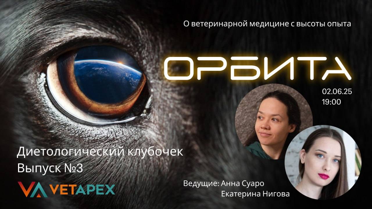 ОРБИТА - Диетологический клубочек выпуск №3 с диетологами Екатериной Ниговой и Анной Суаро