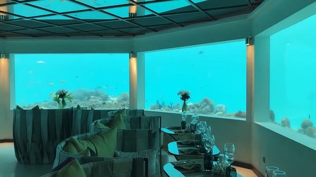 Underwater Restaurant   Royalty Free   Stock Footage