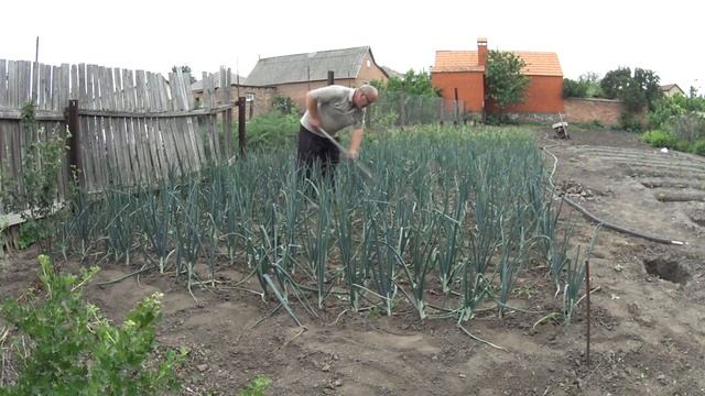 ПРОПОЛКА ЛУКА!!ДОЖДИК НЕ ДАЛ ДОПОЛОТЬ!!ТРАВА КОВРОМ!!ЗАКАЗ РЫБОЛОВНЫХ КОРМУШЕК С АВИТО!!