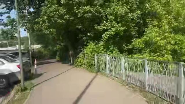 Шаги среди сосен: Лесная симфония