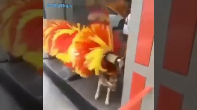 Чистота – залог здоровья!🛀😂