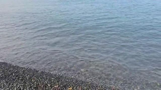 Пляж Сукко 3 июня 8 утра, на море всё отлично. Легкая дымка в воздухе, ветер слабый, люди купаются,