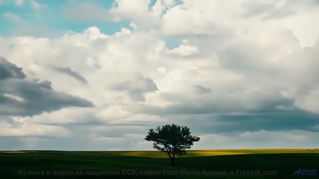 Кадры, обработанные алгоритмами будущего - ваш мозг не поверит! - Youre Onto Me -- Taylor Poe -- 10
