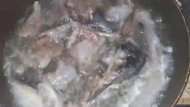 roadkill cuisine жарю мясо чайки как приготовить чайку