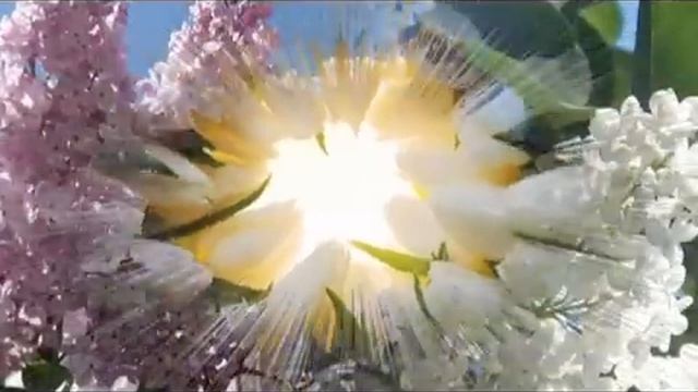 Ф. Шопен  - вальс № 10. Любимая классическая музыка!
