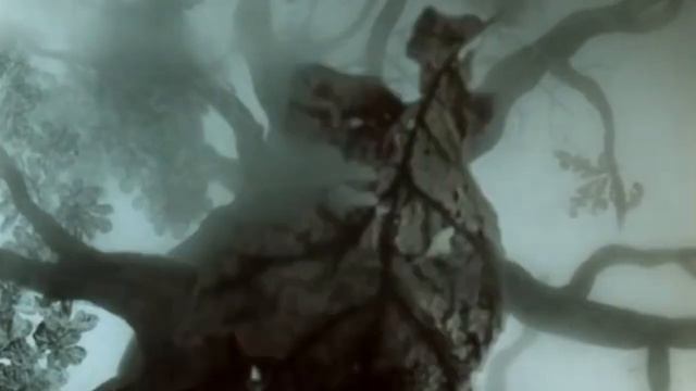 Hedgehog in the Fog (Ёжик в тумане) Альтернативный хоррор-трейл