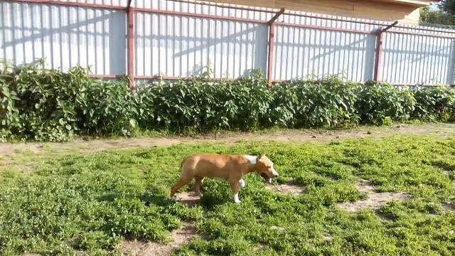 VID 20180616 174645