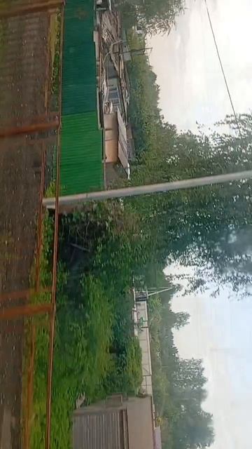 scene_output.mp4
