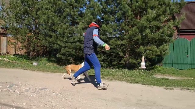 VID 20190430 143452