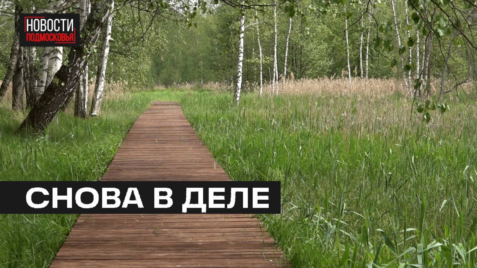 Экотропа «Заповедный лес» открылась после реконструкции на Лосином острове