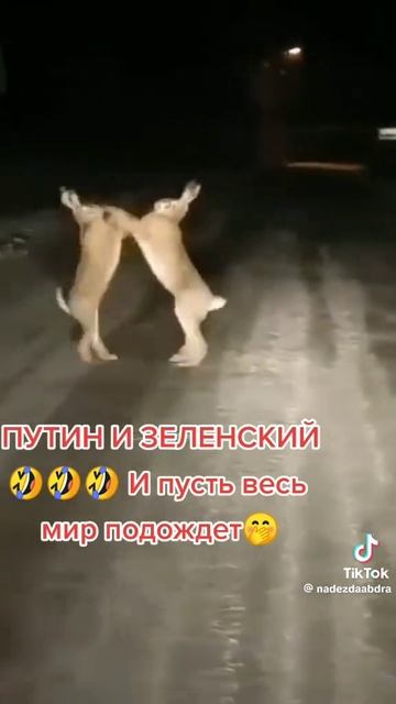 9c748968c1905cffd4a14b3cd141e291.mp4