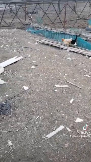 Гонки.