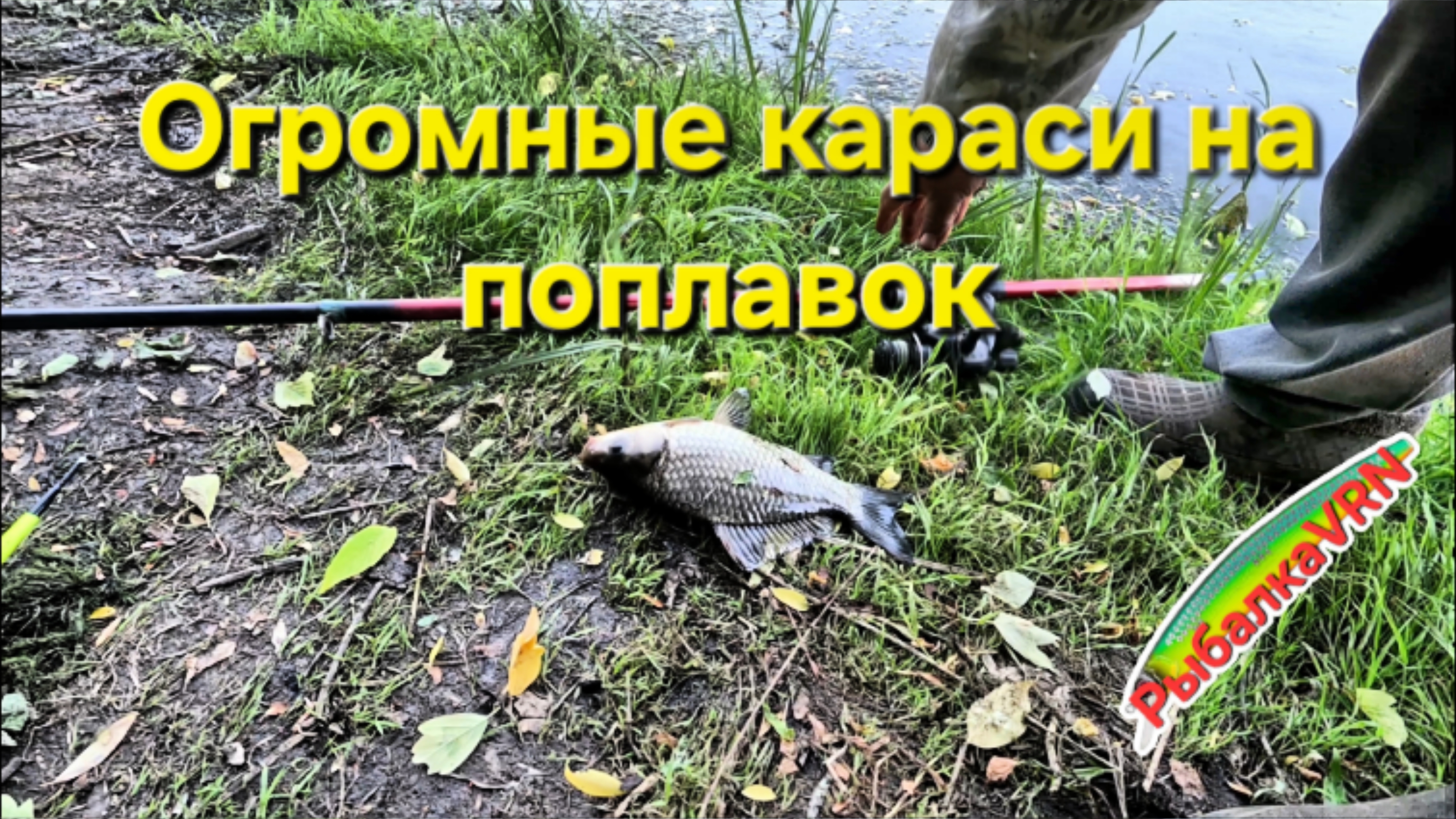 [2025]Рыбалка на карася