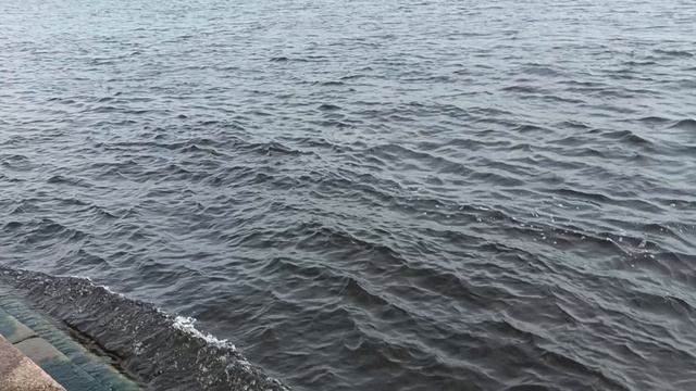 lv_0_20250602122021