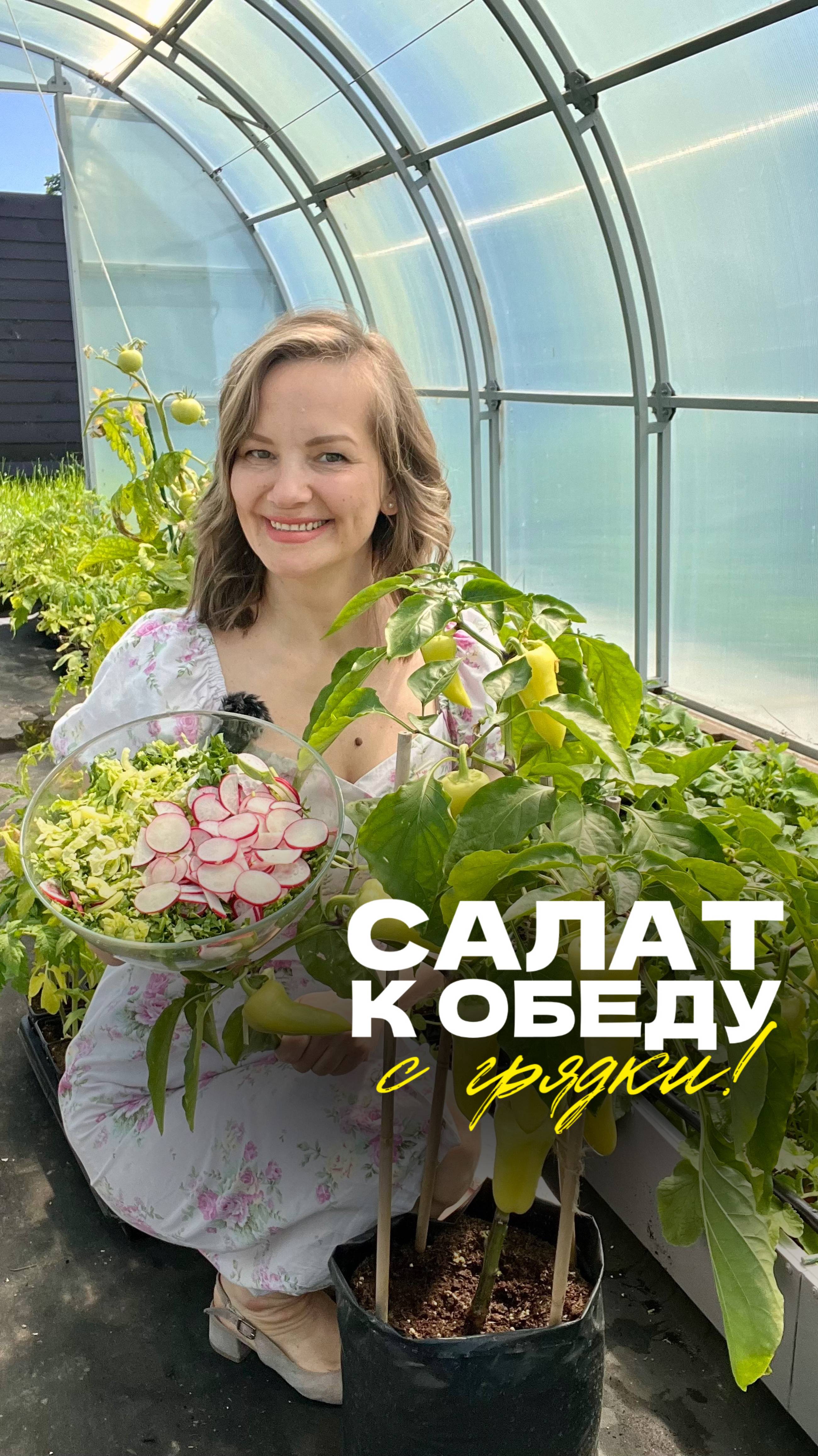 🥗 Салат к обеду — прямо с грядки!