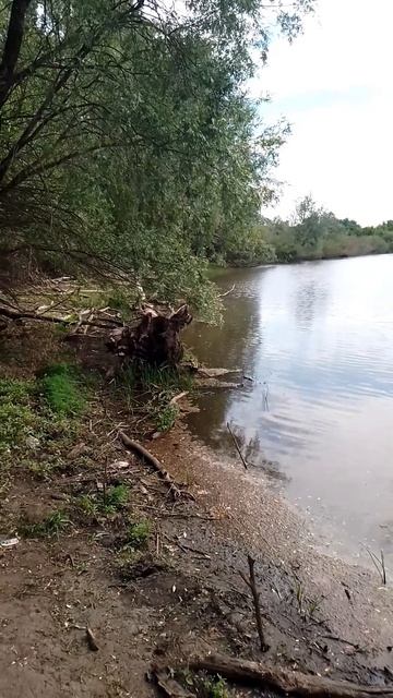 деревенское озеро