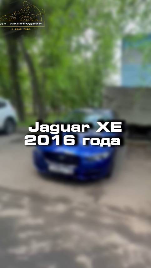 Как вы относитесь к марке Jaguar?