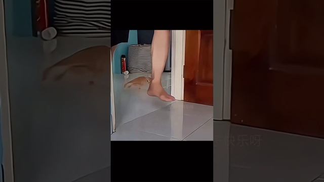 &.