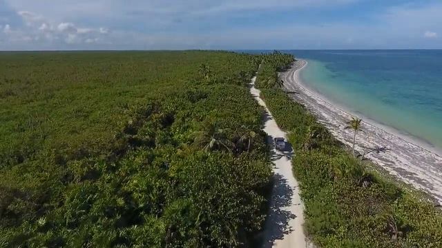 Hidden forest Island   Drone Aerial View   Free stock footage   Free HD Videos - no copyright