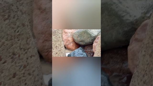 Долгая дорога в дюнах...