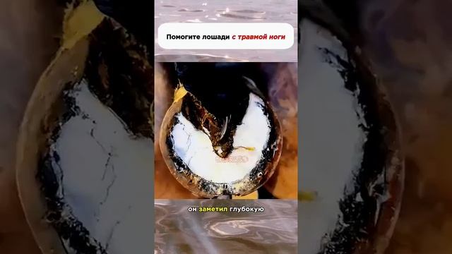 А вы знали?