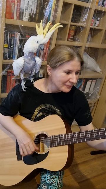 Бобров на всех не хватило. Забрала попугаем
