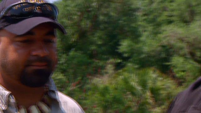 Baby Alligator Rescue | Swamp Men