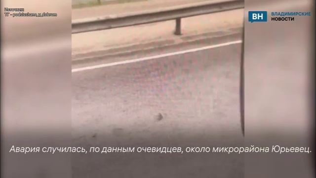 Во Владимире на трассе сбили лося